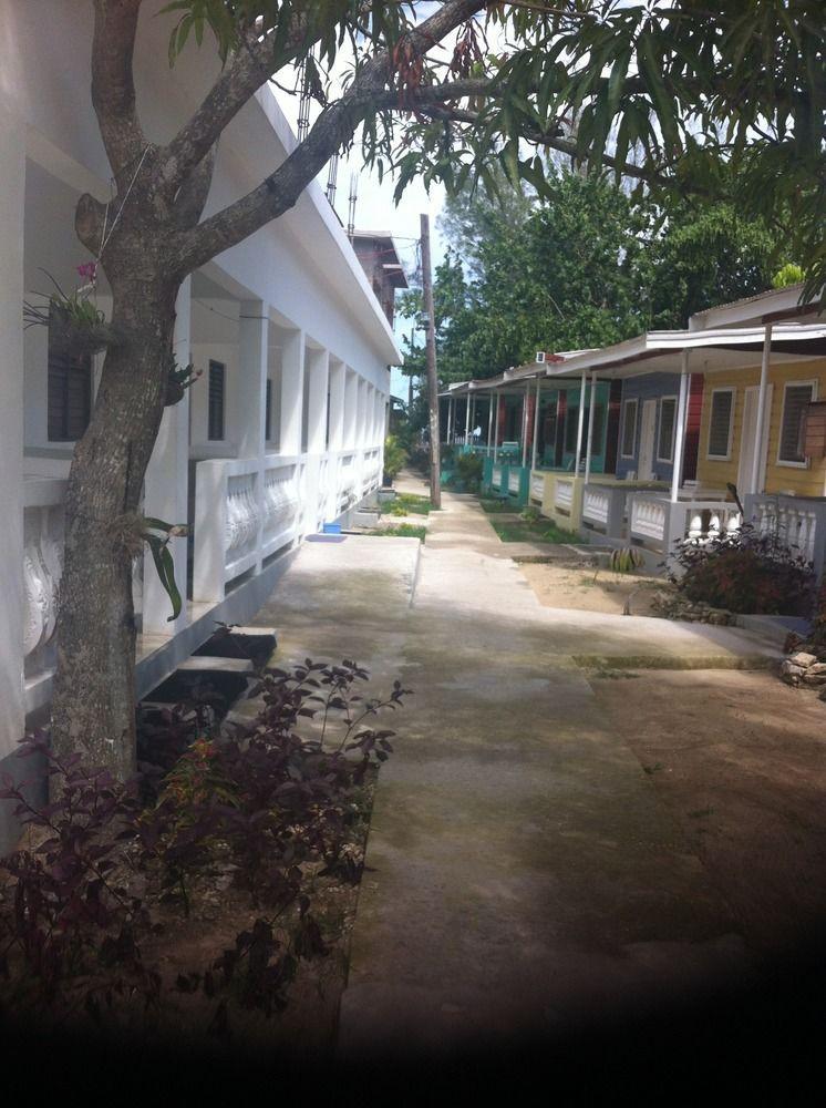 Roots Bamboo Beach Resort نيغريل المظهر الخارجي الصورة