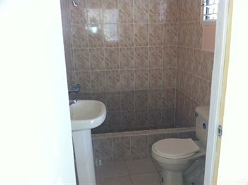 Roots Bamboo Beach Resort نيغريل المظهر الخارجي الصورة