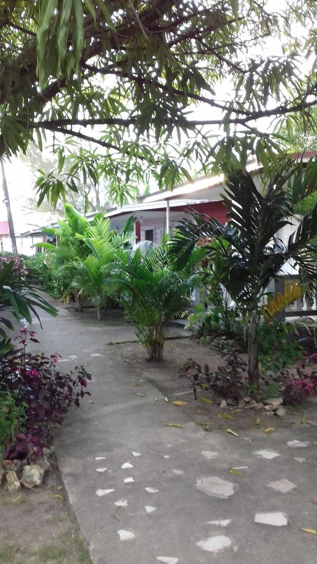 Roots Bamboo Beach Resort نيغريل المظهر الخارجي الصورة