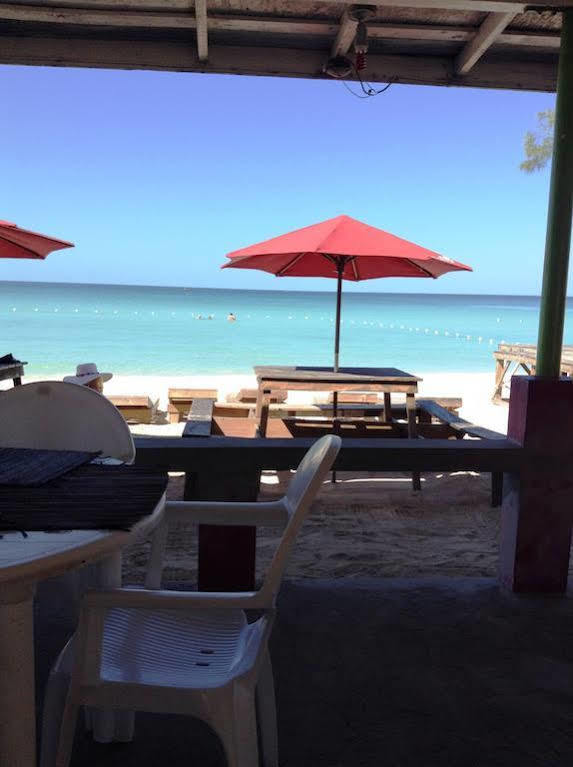 Roots Bamboo Beach Resort نيغريل المظهر الخارجي الصورة